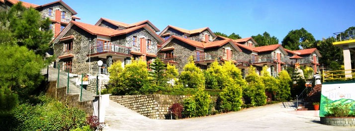 1820/Nature Bloom - Palampur 02.jpg